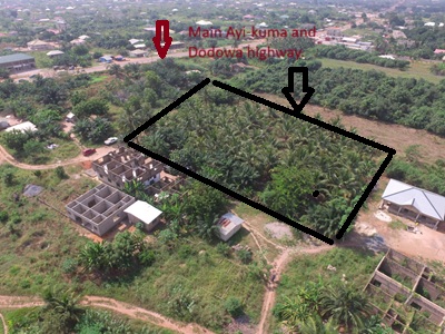 Titled 5 plots of land for sale.